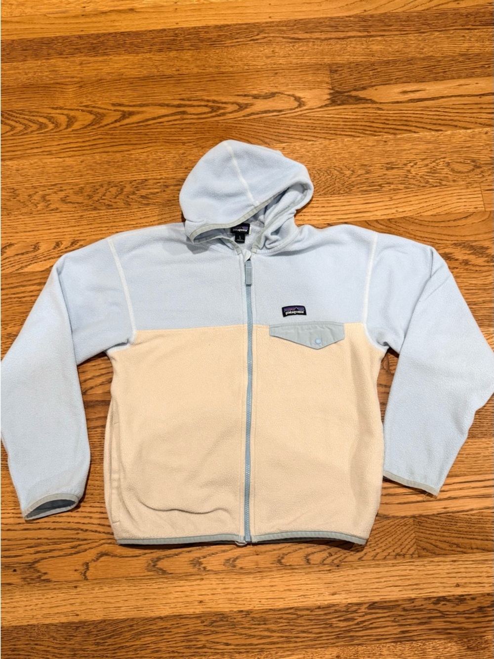 Patagonia Micro D Snap-T Fleece Hoodie - Light Blue & Cream